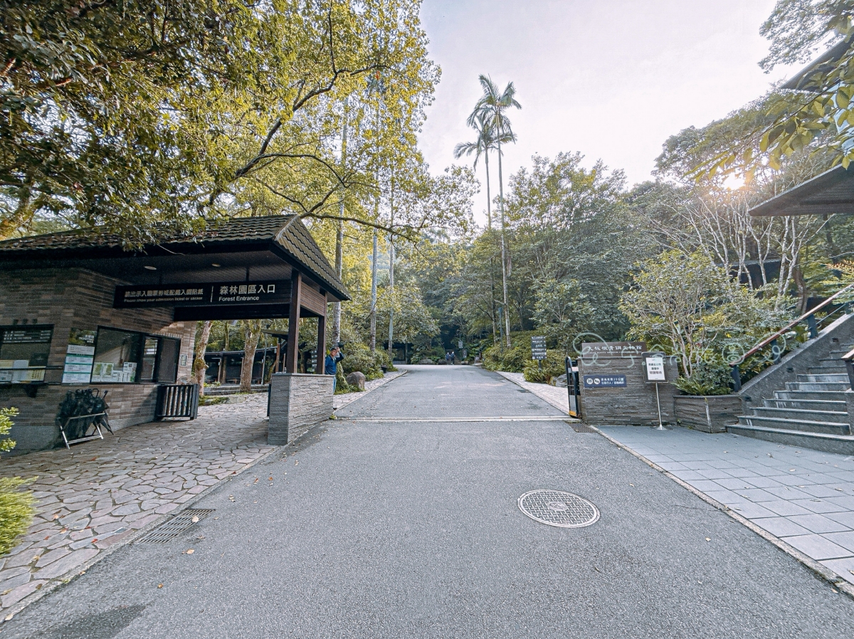 【2026新北三峽住宿推薦】大板根森林溫泉酒店開箱｜一泊二食Buffet、森林溫泉、豪華三人房、恐龍DIY，全台唯一低海拔原始森林親子飯店